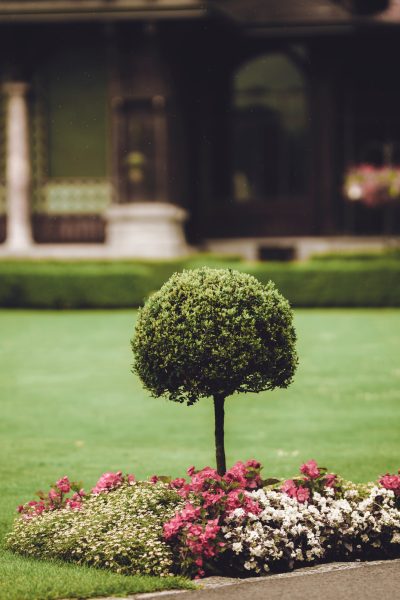 koszenie kosa koszenie trawy krakow Cracow Lawn Pros